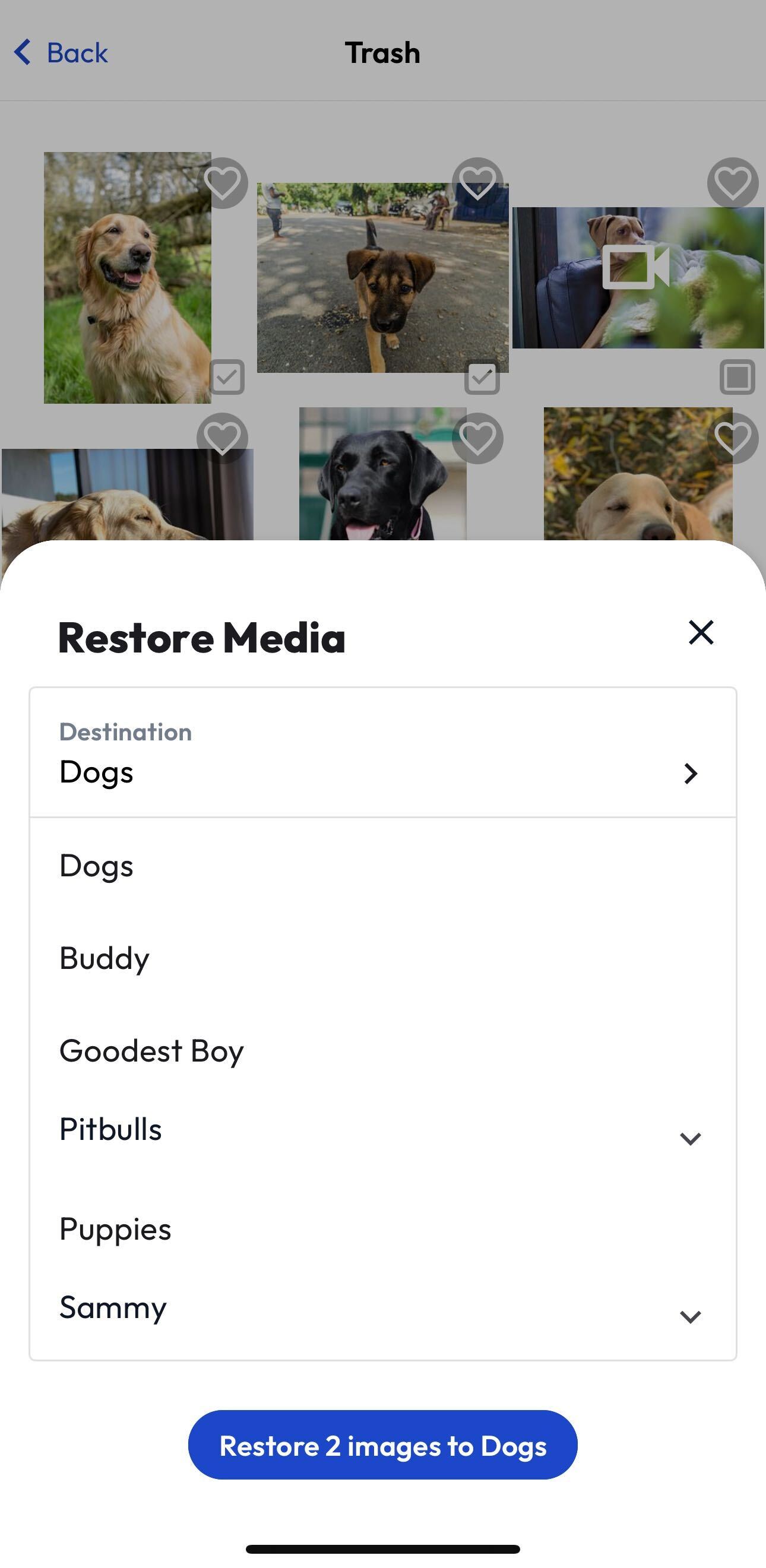 Restore IMG GB Mobile App DEC 2023.gif