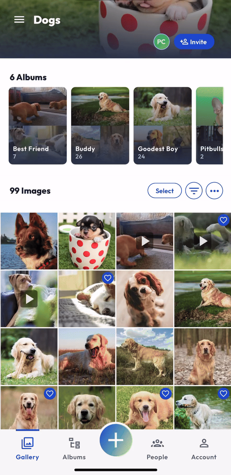 Mobile App - Group Buckets - Title Desc Tag May 2024.gif
