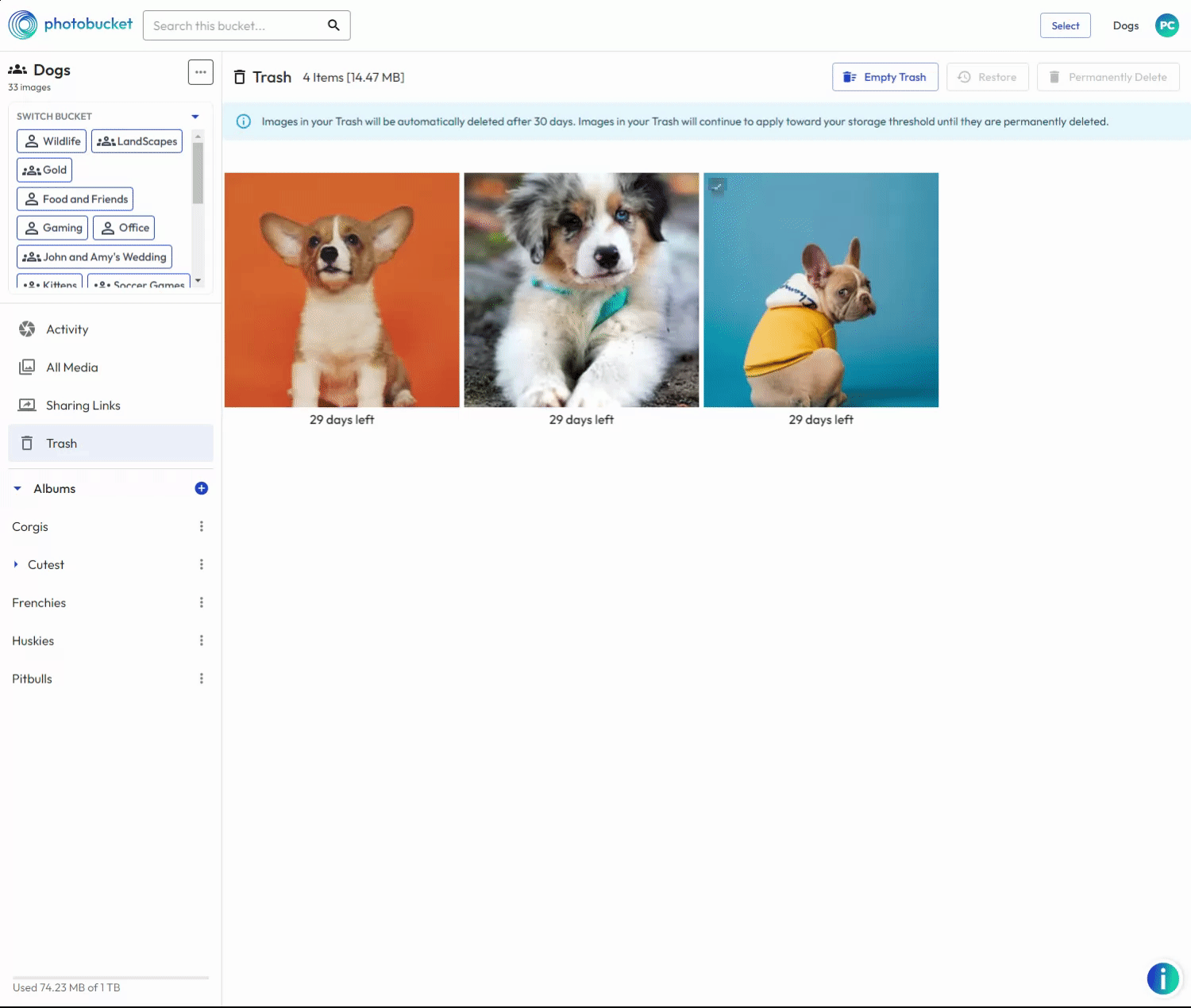 Desktop - Trash - Restore - June 2024.gif