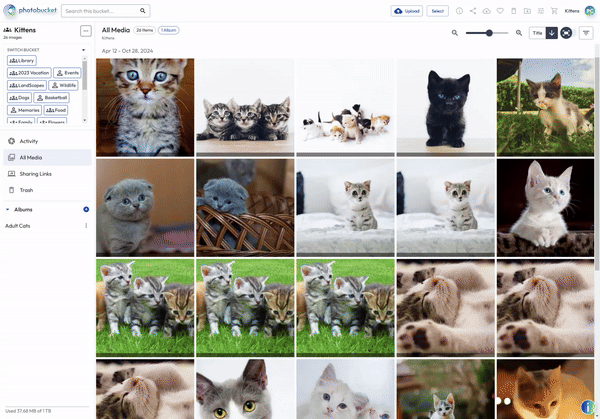 Desktop - Image Search - SEP 2024.gif