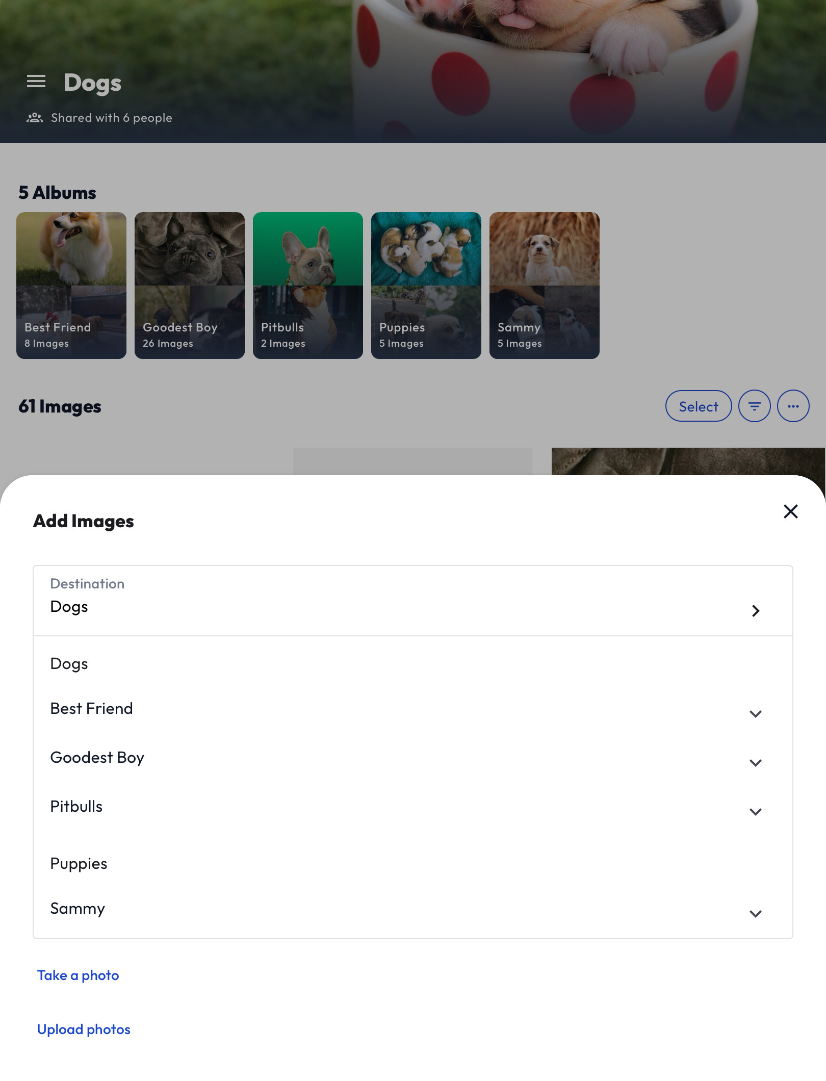 Overview of the new Photobucket app – Photobucket Support