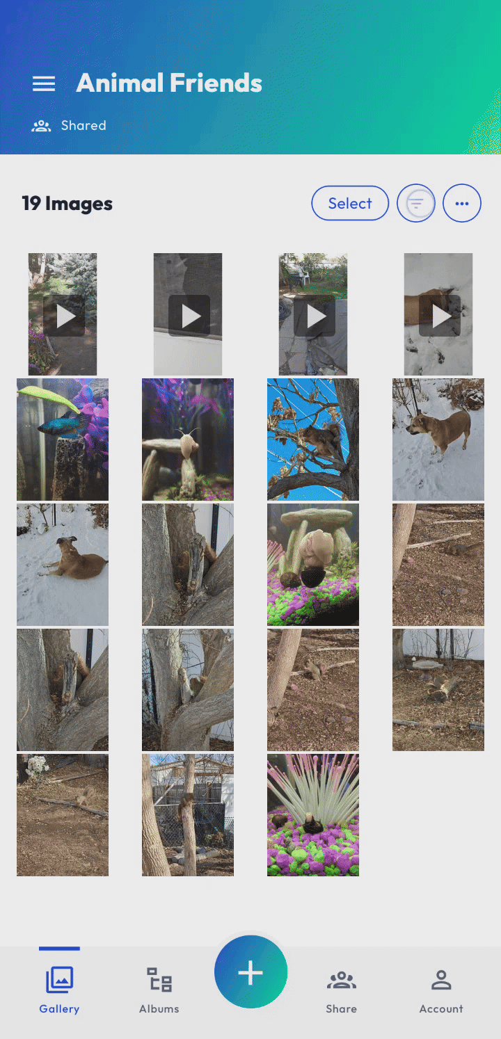 Mobile App - Change Sort Order - Feb 2025.gif