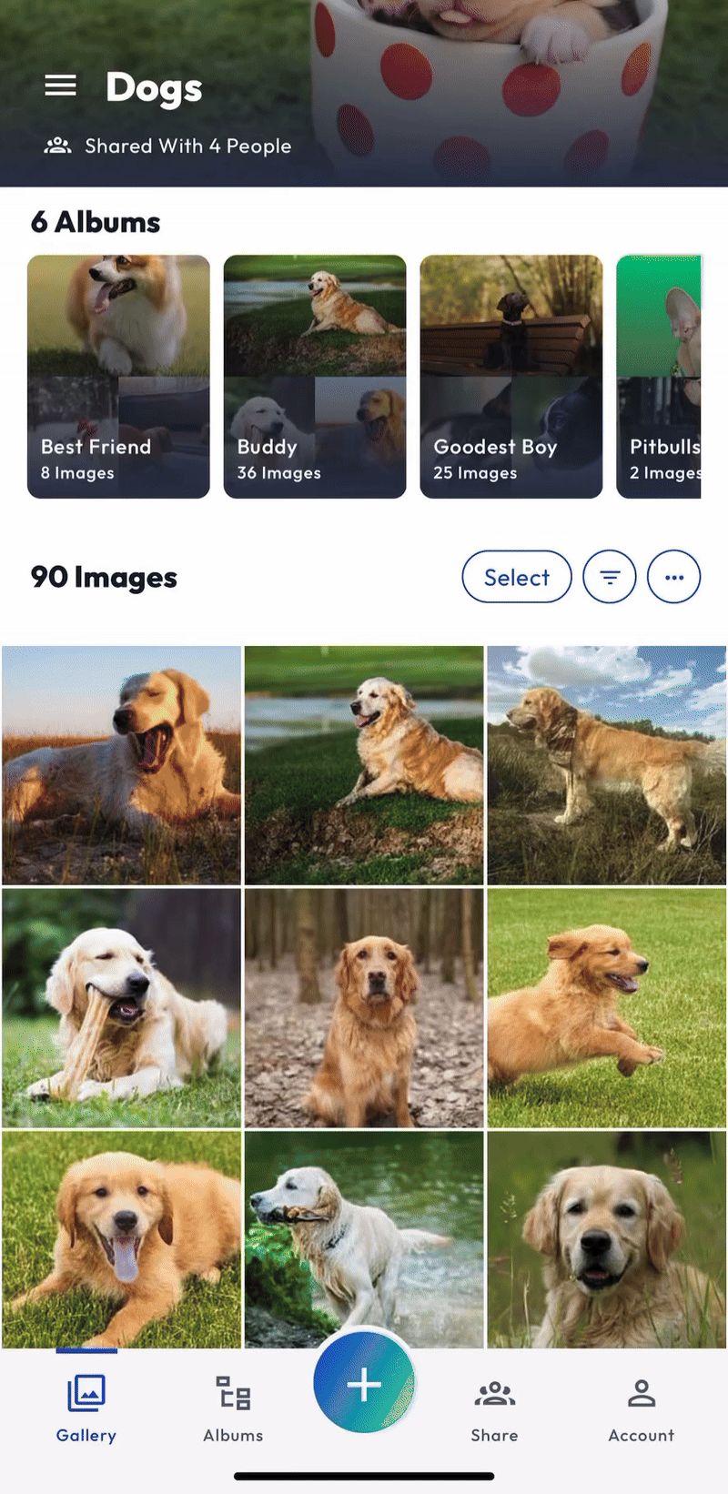 App - Share - Album - FEB 2025.gif
