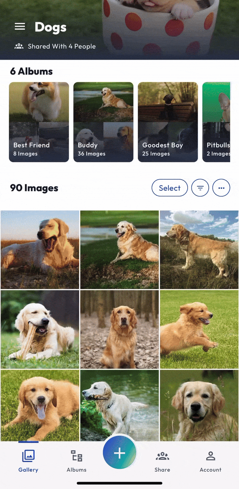 App - Share - Multi - FEB 2025.gif