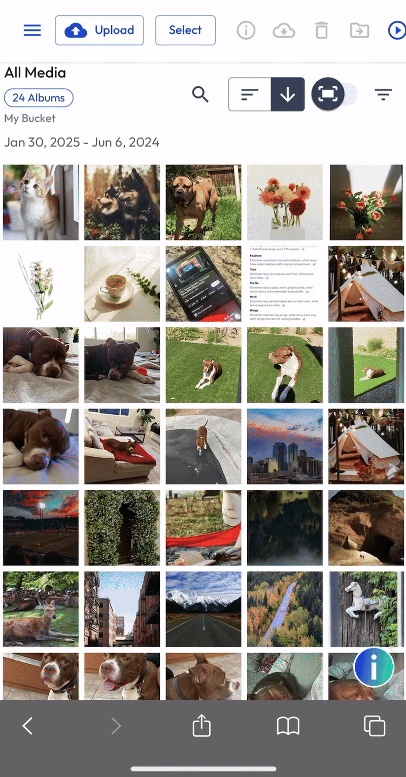 MWeb -ImageSearch - MAR 2025.gif