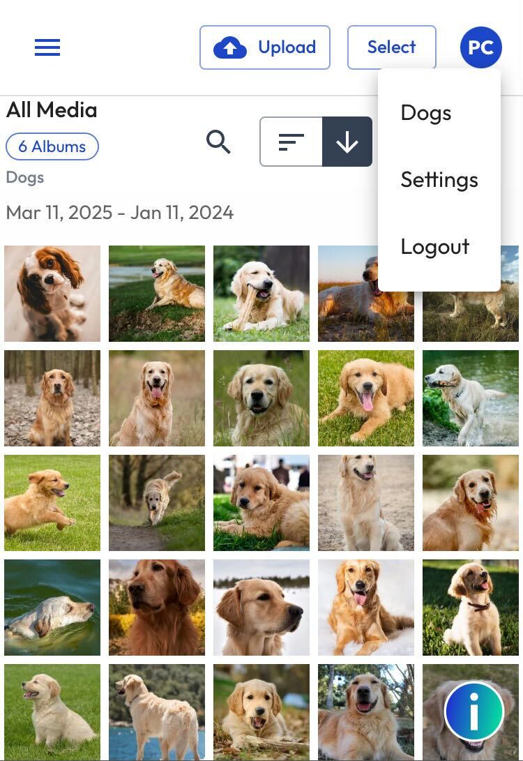 mWeb - Profile Tap - March 2025.jpg