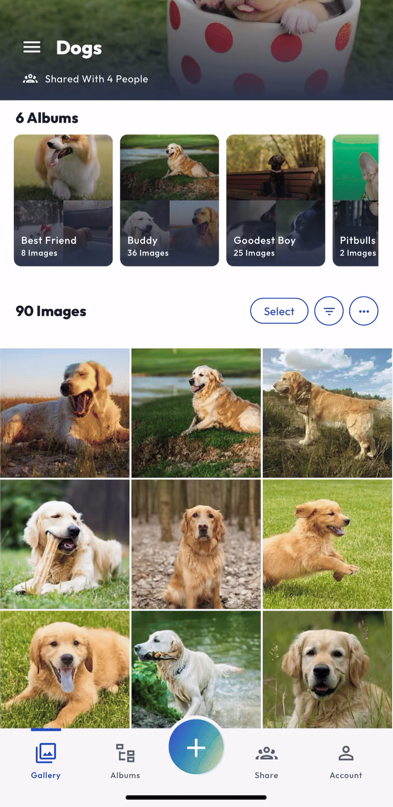 App- Hosting - Single Image - FEB 2025.gif