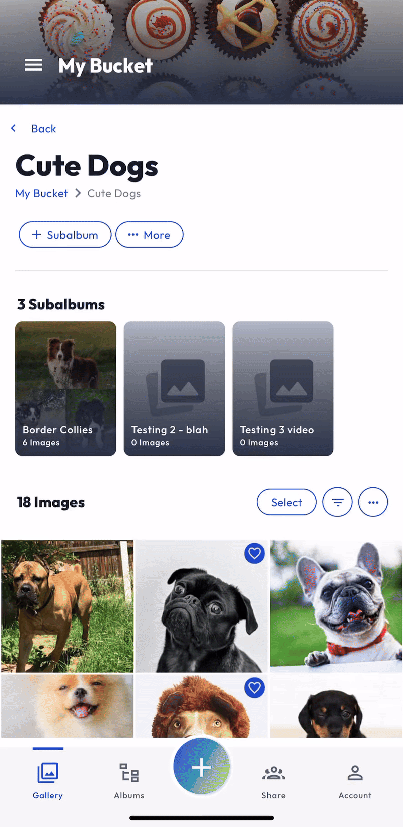App- Hosting - Multiple Images - FEB 2025.gif