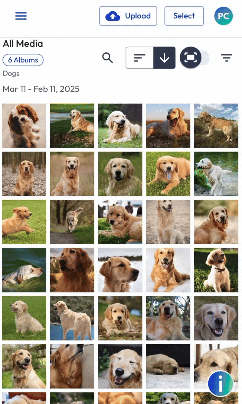 Mobile - Select Multi Images - MAR 2025.gif