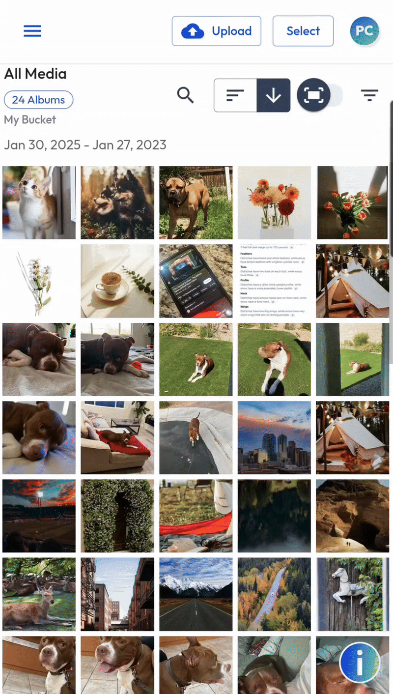 Mobile Web - Upload to All Media - MAR 2025.gif