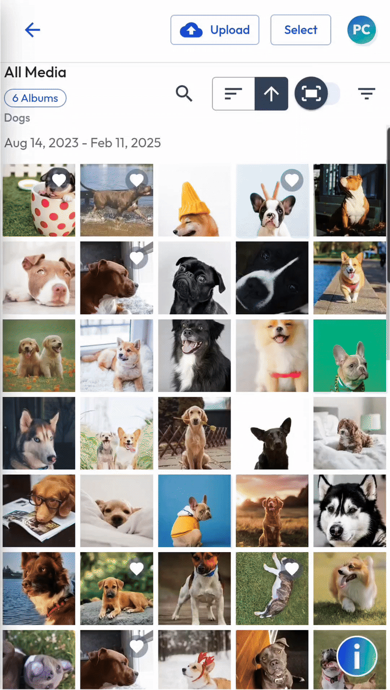 Mobile Web - Upload to Album - MAR 2025.gif