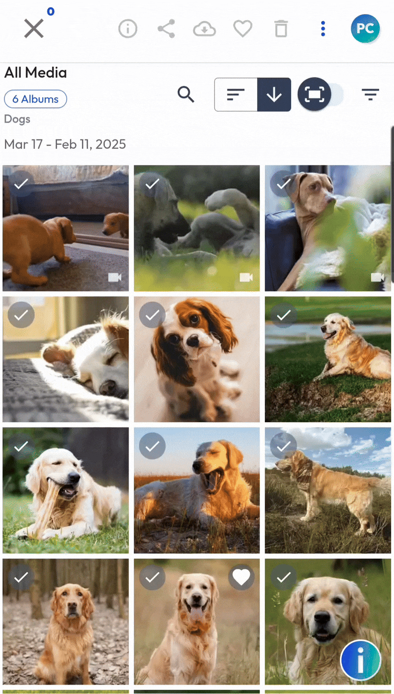 Mobile Web - Select Image Easy Link - MAR 2025.gif