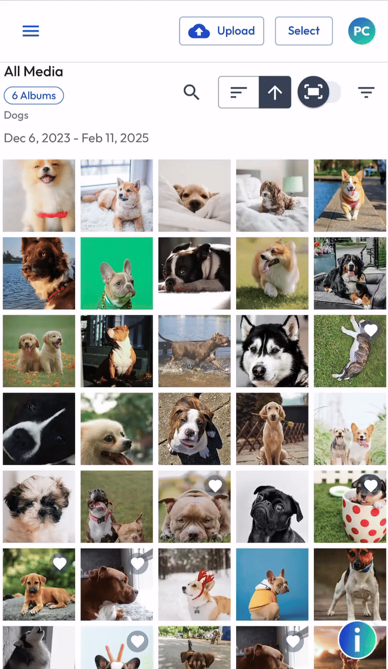 mweb_selectimage_overview_MAR 2025.gif