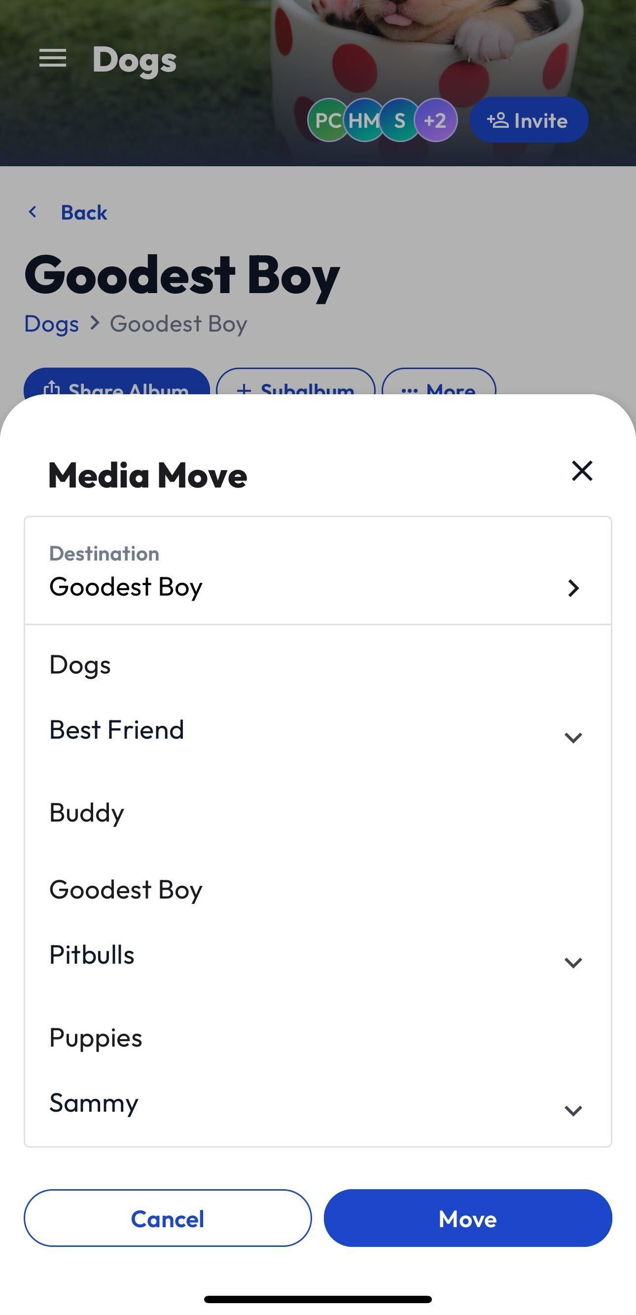 App - Move - SS - APR 2025.jpg