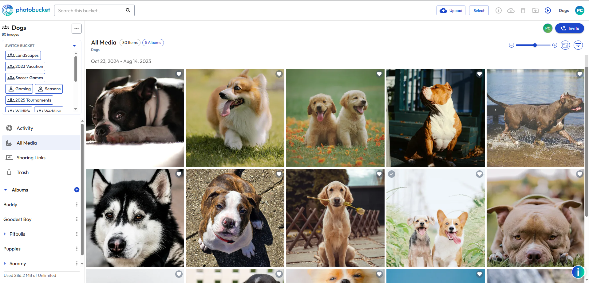 Desktop - Filter - Favorites - MAY 2025.png