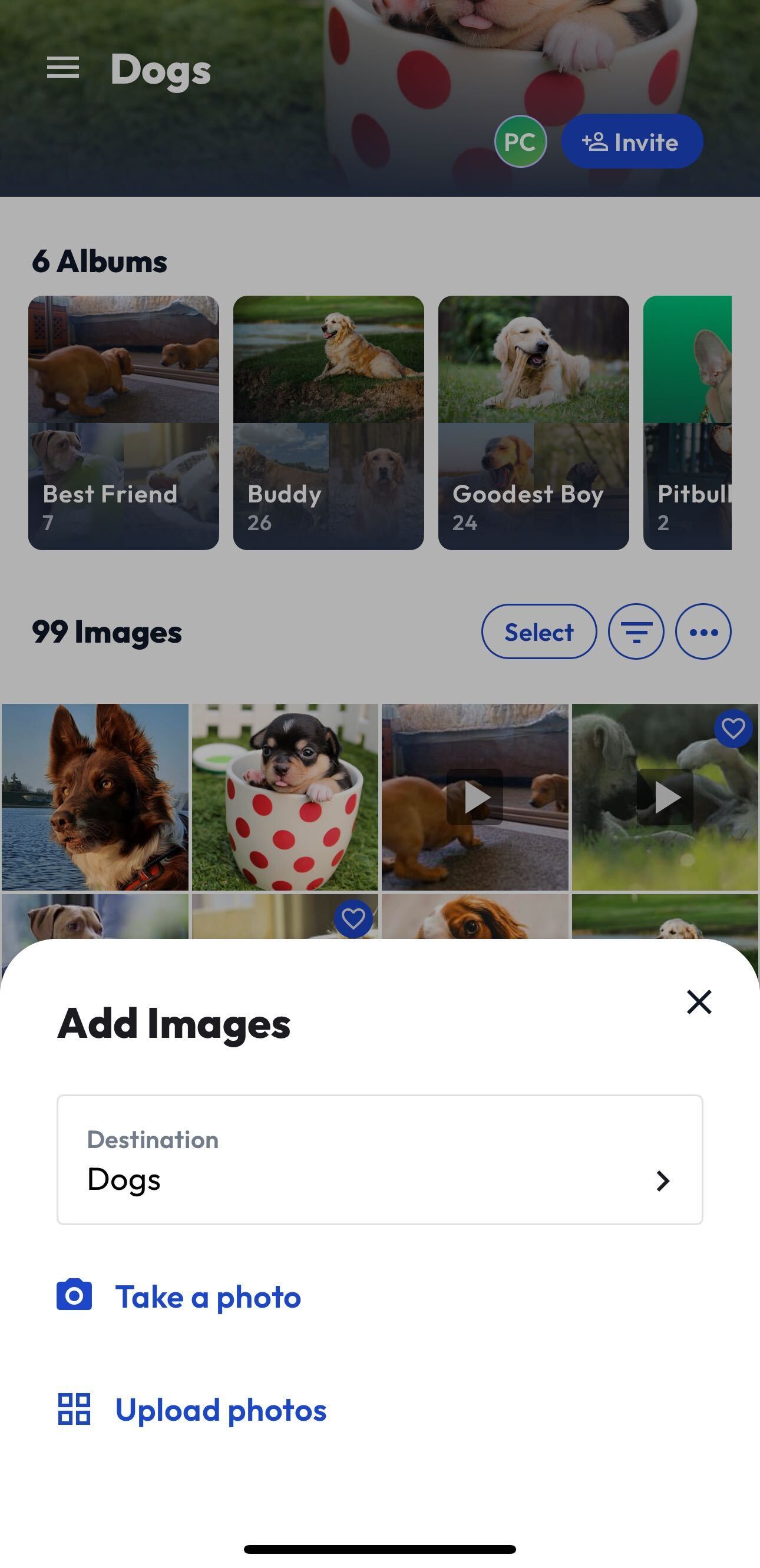 App - Upload - To Albums - JULY 2024.gif