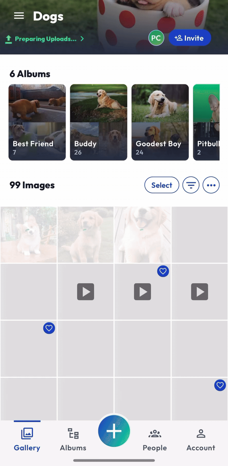 App - Upload - Progress - MAY 2025.gif