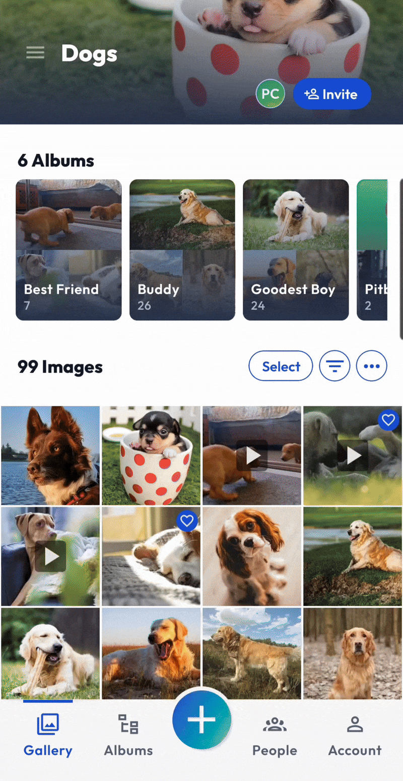 App - Group Buckets - Create Album - May 2025.gif