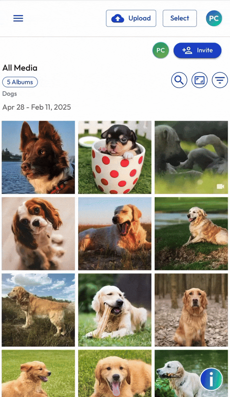 MWeb - Filter and Sort - Crop Zoom - May 2025.gif