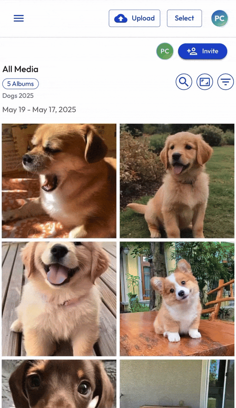 Browser - Search - June 2025.gif