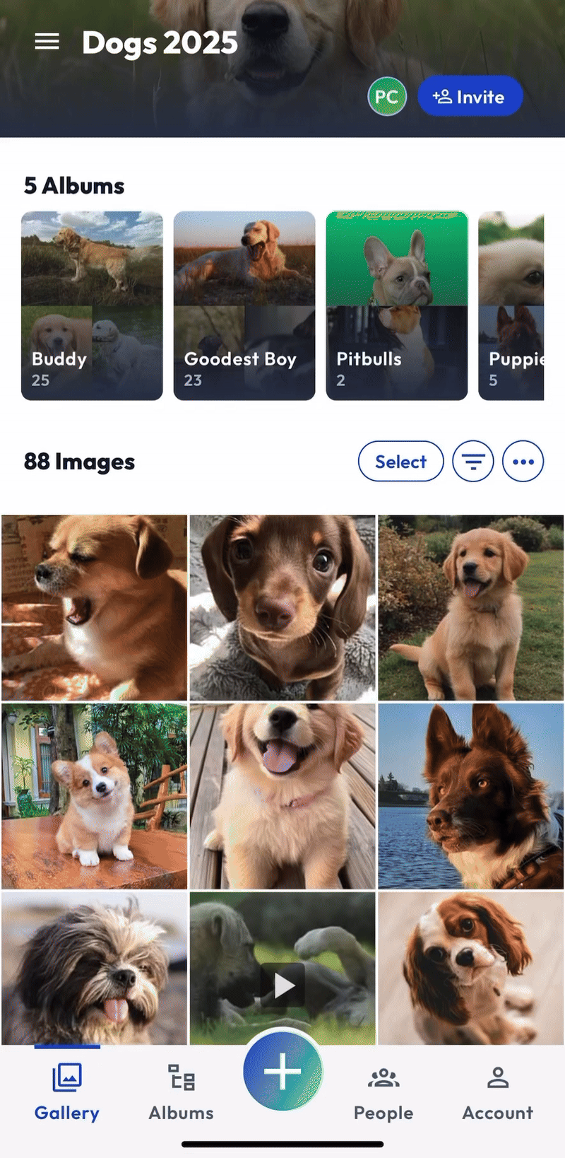 Mobile App - Host Multiple Images - JUNE 2025.gif