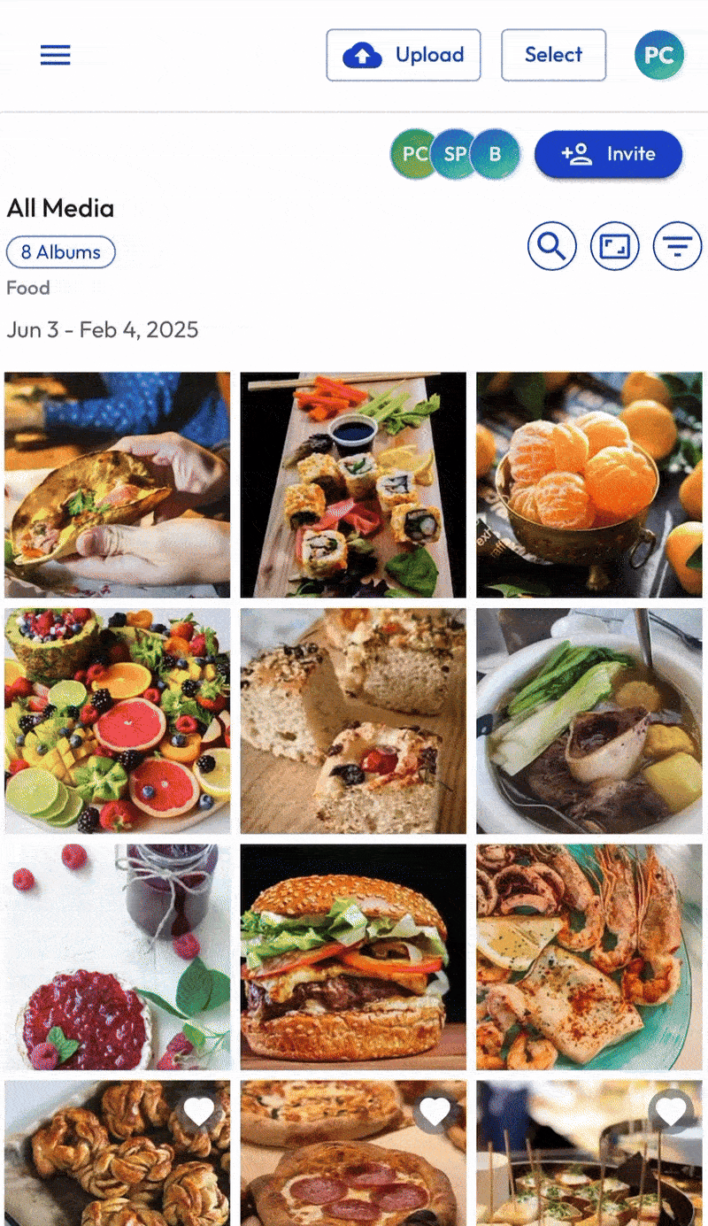 Browser - Sharing - Single Multiple - July 2025.gif