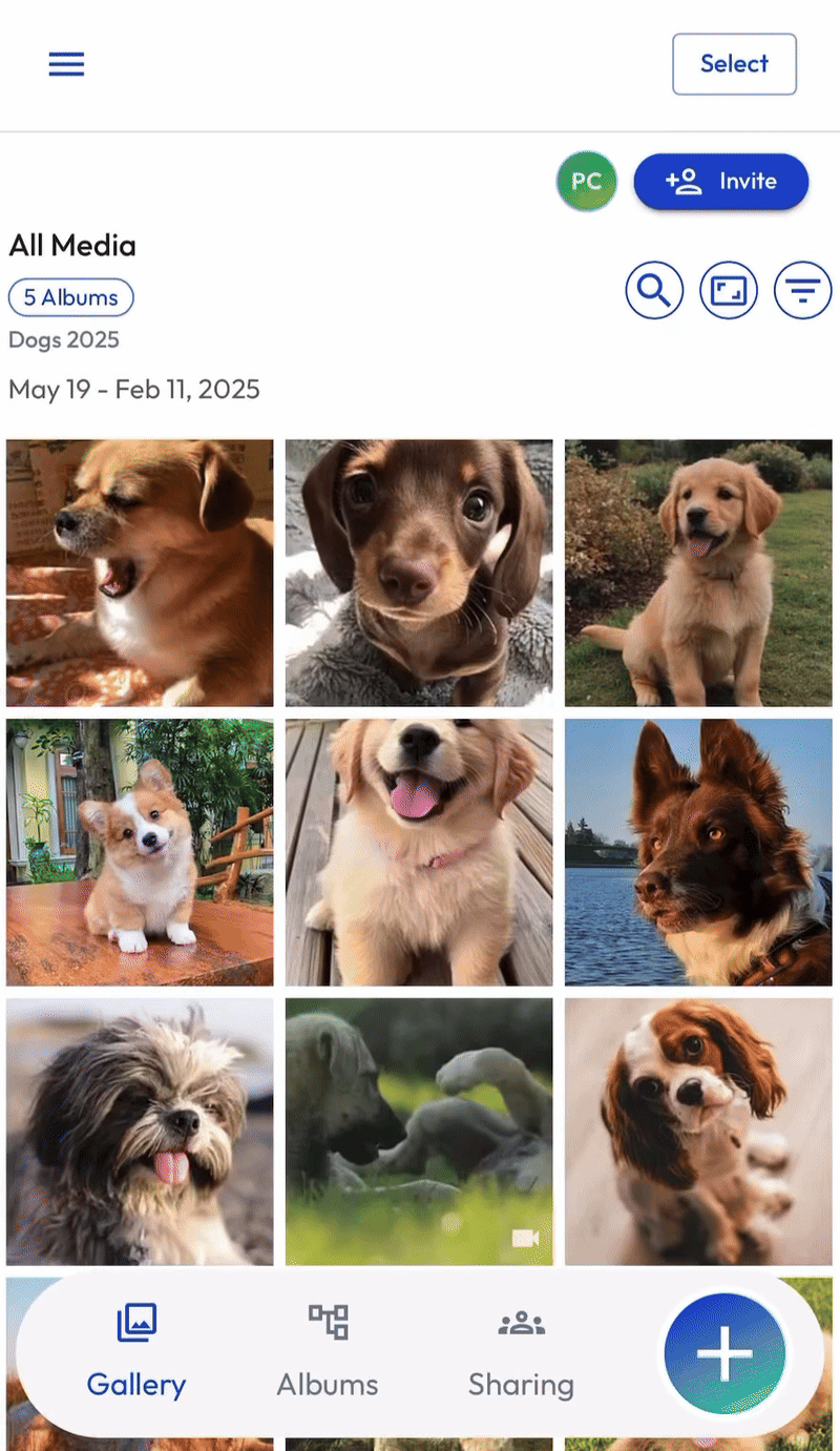 Browser - Select Images - July 2025.gif