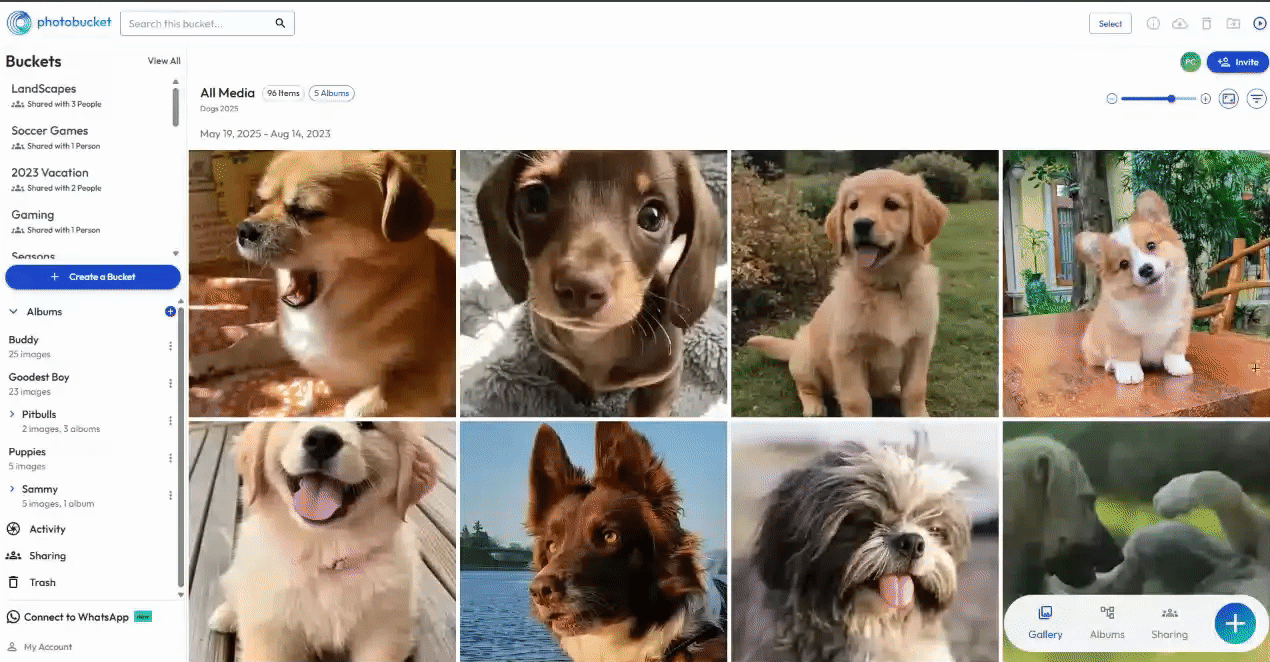 Desktop - upload image - July 2025.gif