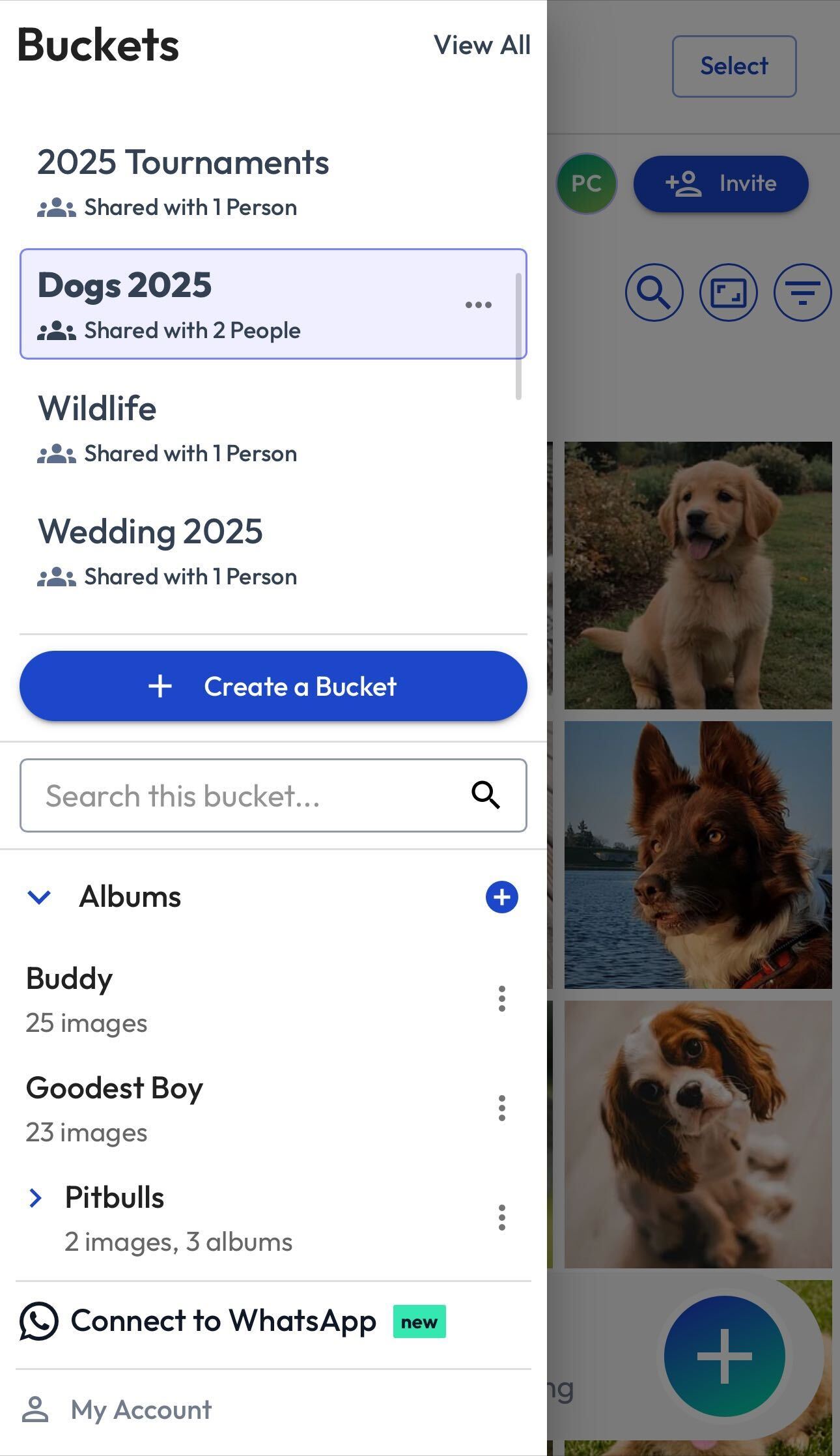 Browser - Menu - July 2025.jpg