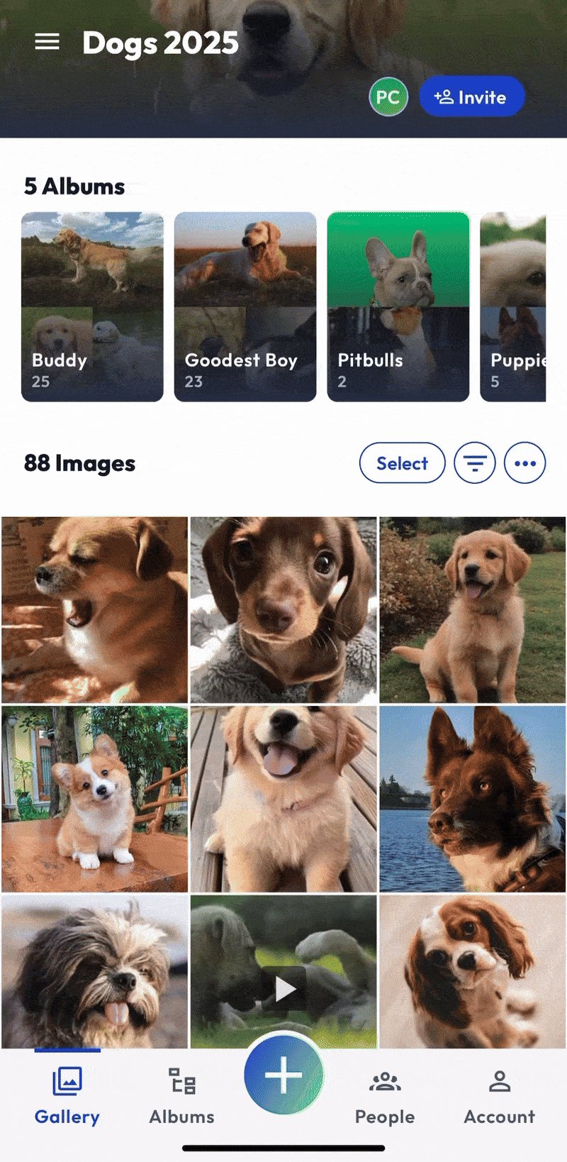 App - Hosting - Multi - July 2025.gif