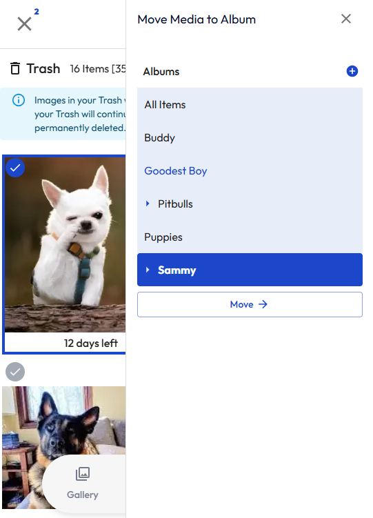 Browser - Restore - Deleted Images - July 2025.png