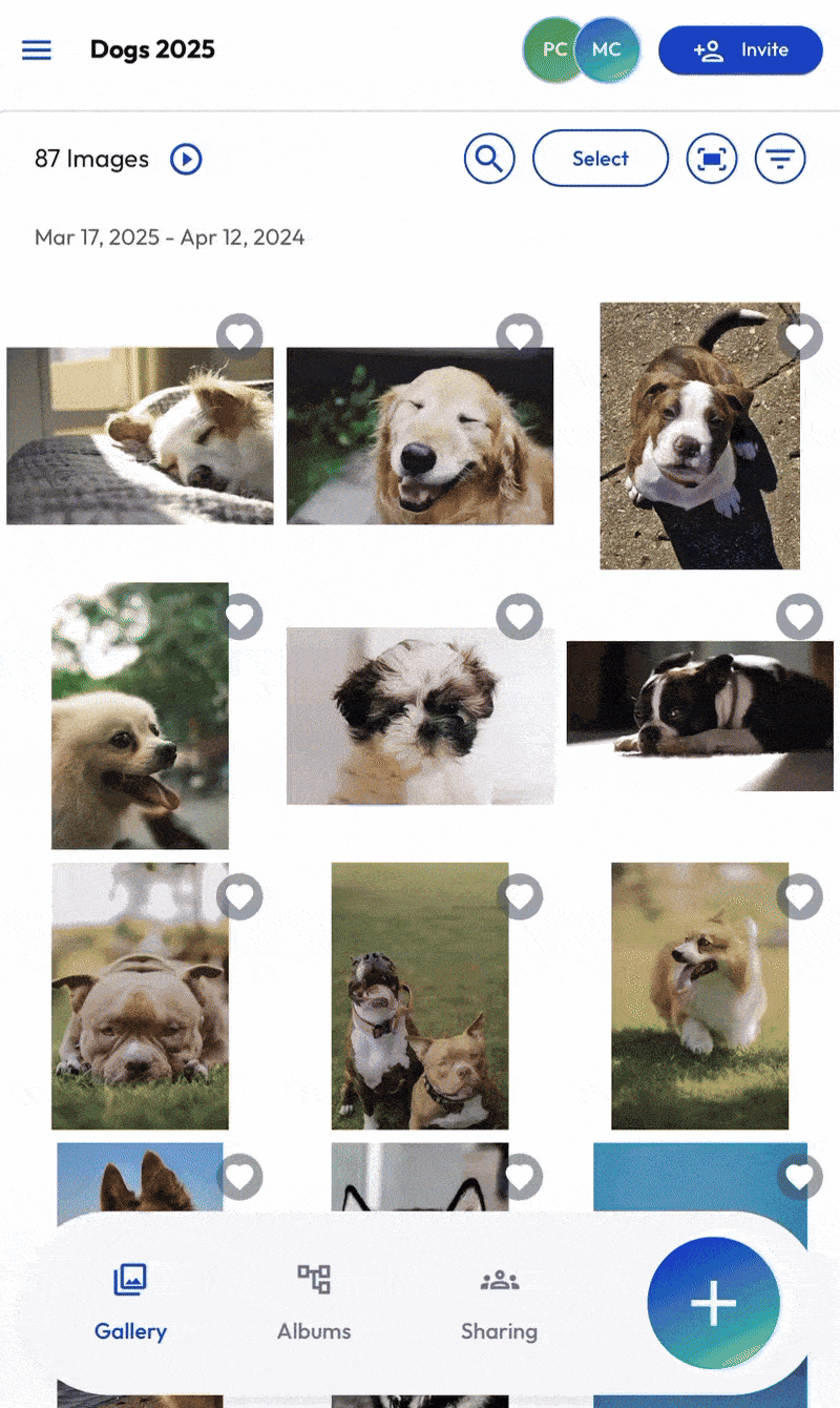 Mweb - Adding tags and detais - DEC 2025.gif