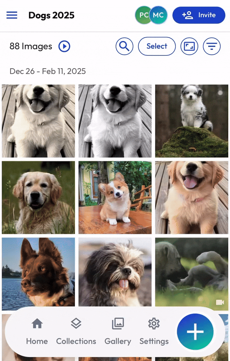Share Album mWeb 2026.gif
