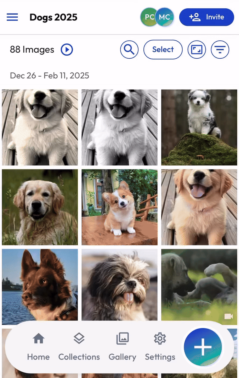 Bucket Sharing mWeb 2026.gif