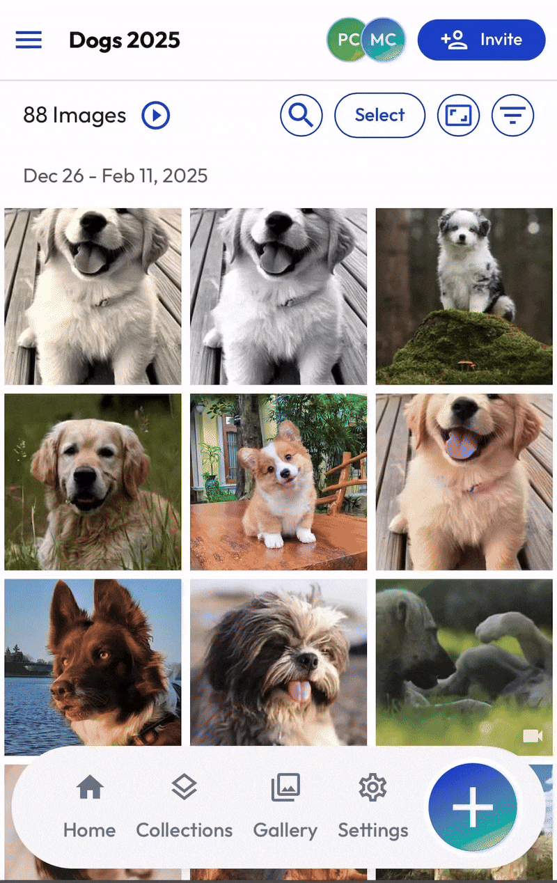 Single.Multipe Sharing mWeb 2026.gif