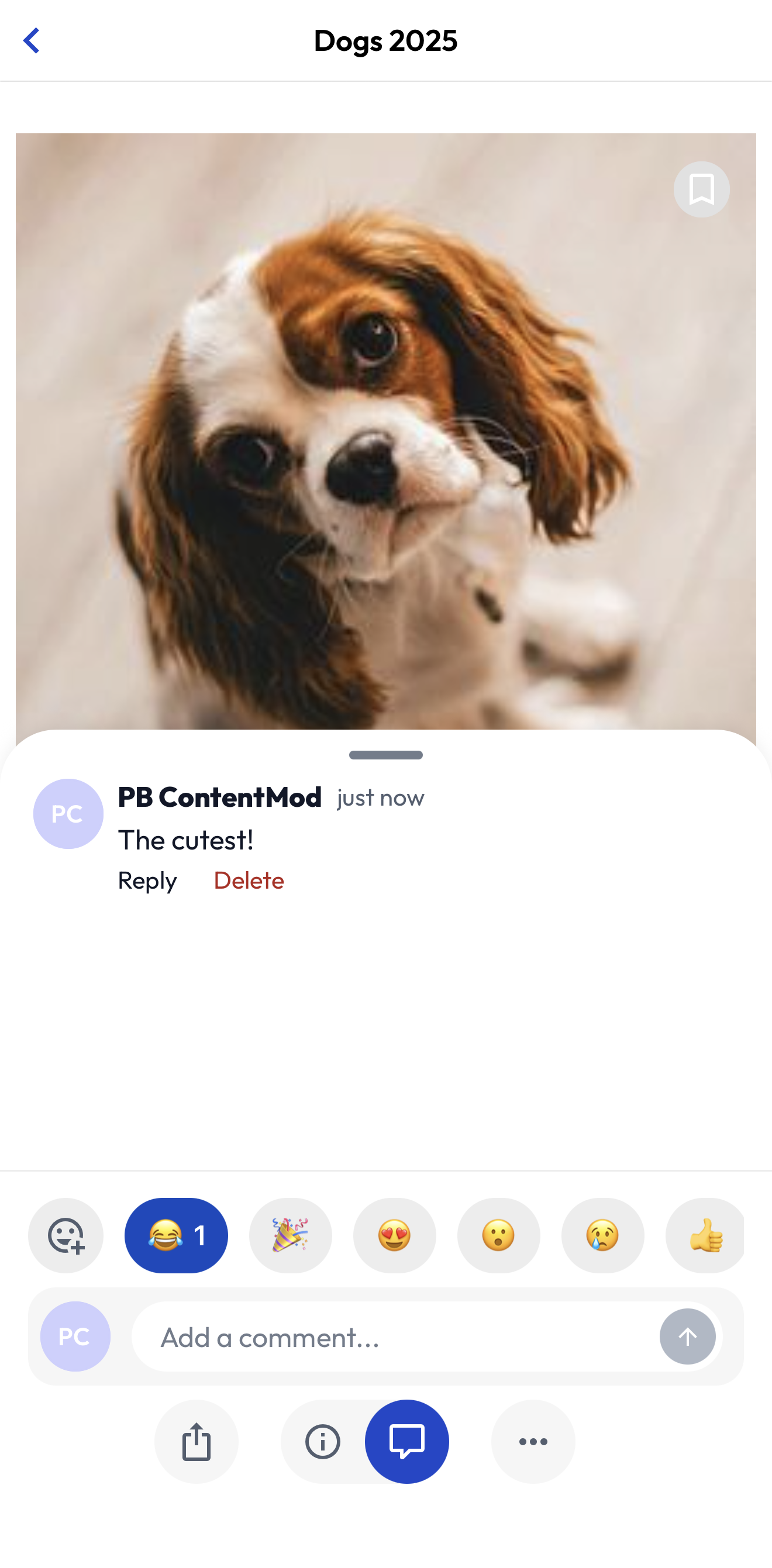 App - Comment and Reactions - FEB 2026.png