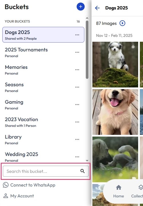 MWeb - Search - JAN 2026.jpg