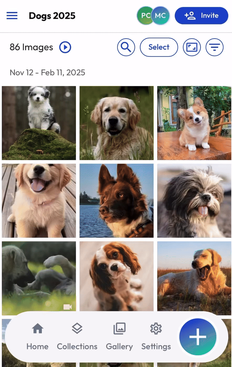 Hosting - Single Image - mWeb 2026.gif