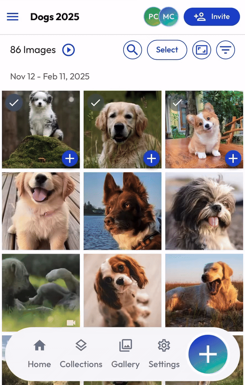 Hosting - Multiple Image - mWeb 2026.gif