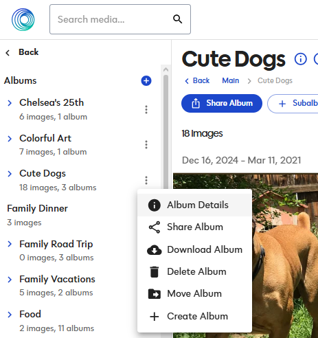 Album Details.png